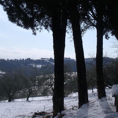 Agriturismo Casa Alle Vacche 산지미냐노 외부 사진
