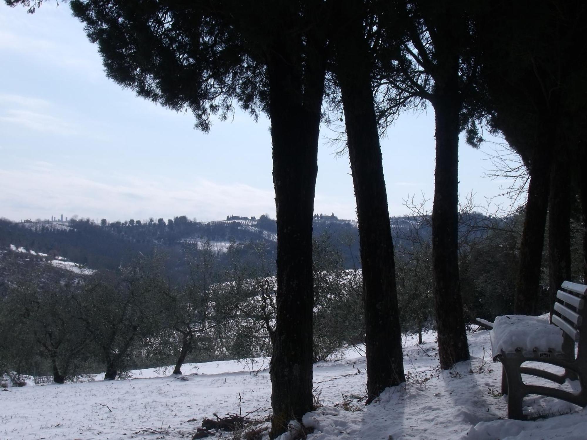 Agriturismo Casa Alle Vacche 산지미냐노 외부 사진