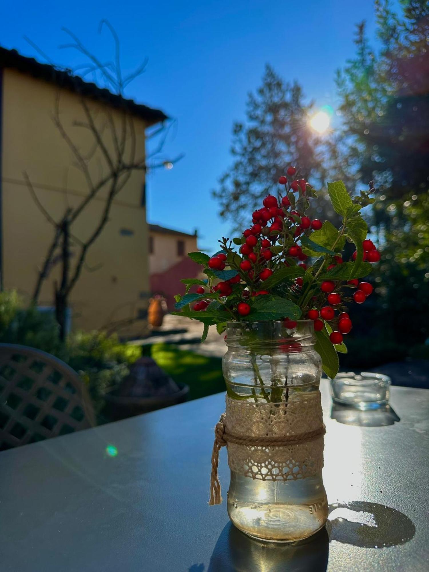Agriturismo Casa Alle Vacche 산지미냐노 외부 사진
