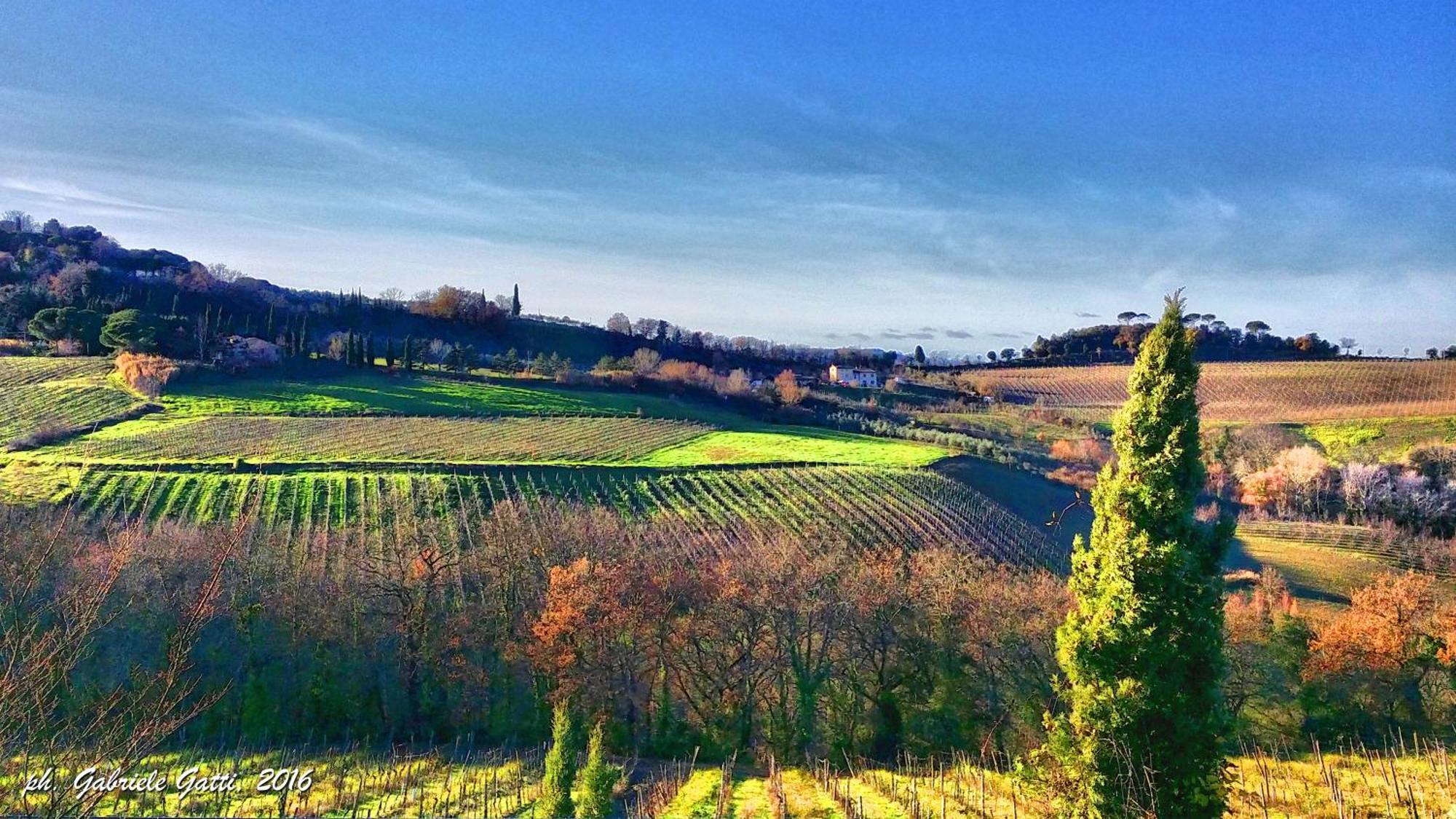 Agriturismo Casa Alle Vacche 산지미냐노 외부 사진