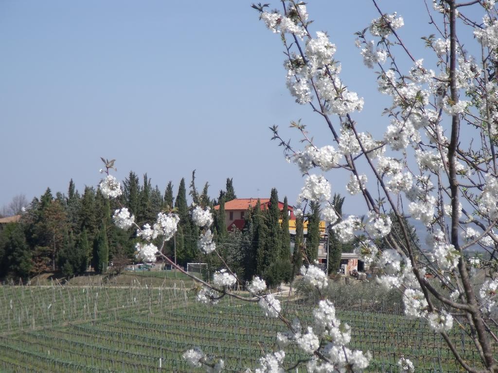 Agriturismo Casa Alle Vacche 산지미냐노 외부 사진